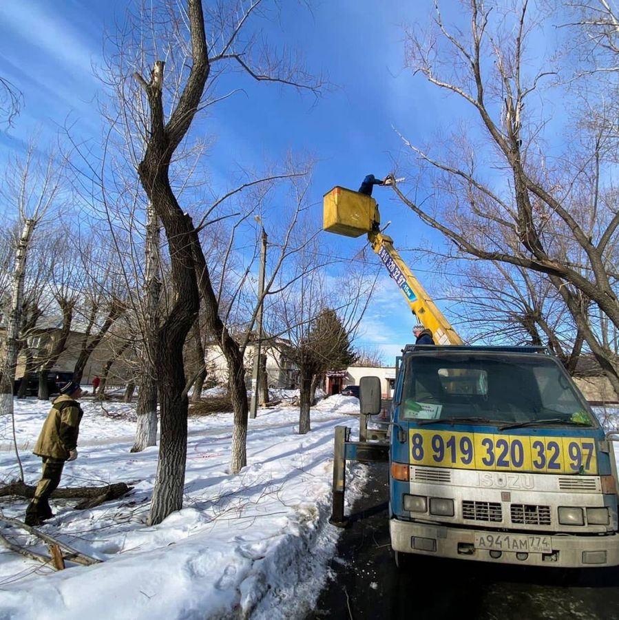 Депутаты Советского района проконтролировали обрезку деревьев в поселке Новосинеглазово